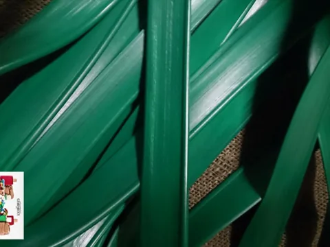 Coated ropes and cords &mdash; 8